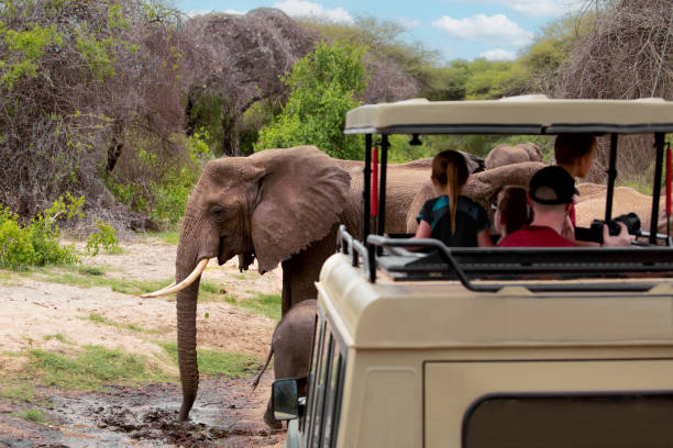 Luxury Combine Northern Tanzania & Zanzibar Holiday 13-Day
