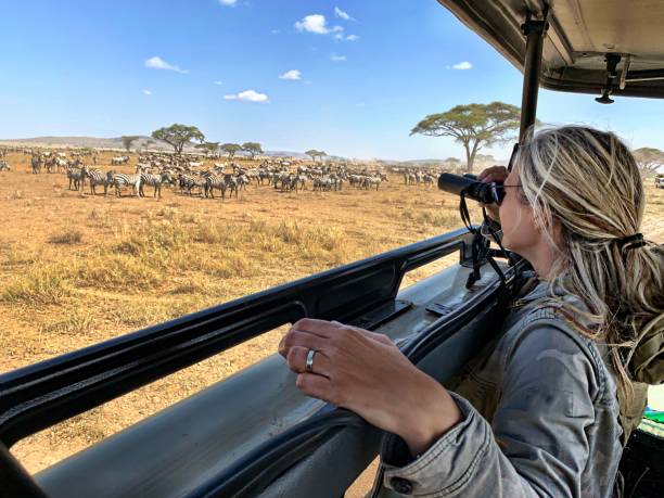 7 Days Great Migration Safari