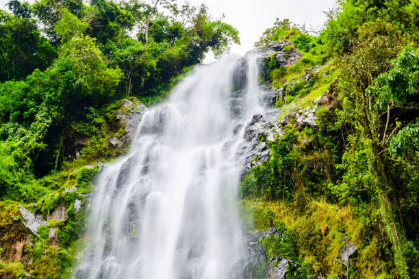 Materuni Waterfall & Coffee Tour